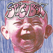Spicy Box