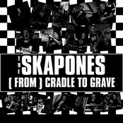(From) Cradle to Grave