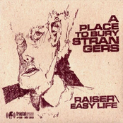 Raiser by A Place To Bury Strangers