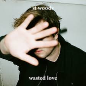 Wasted Love