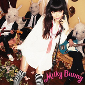 milky bunny