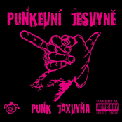 Punk jaxvyňa