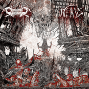 Ceremonial Bloodbath / Nekus