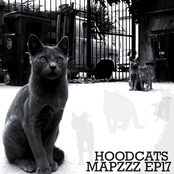 hoodcats