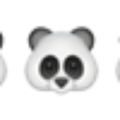 🐼🐼🐼🐼🐼🐼🐼