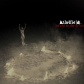 Writhe In The Ailments