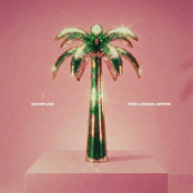 Save My Love de Kygo