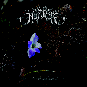 Tidens Gång/Passage of Time