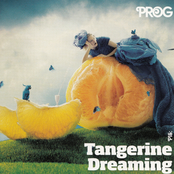 Tangerine Dreaming
