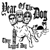 Three Legged Dog: Year of the Dog