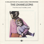 The Chameleons: The Fan and the Bellows