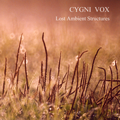 Lost Ambient Structures