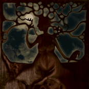 Tree Like Me