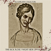 The Sick Rose / Night Side of Nature