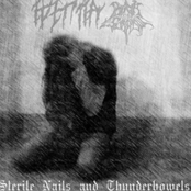 Sterile Nails And Thunderbowels (Silencer cover)