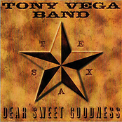 Lights Of Las Vegas by Tony Vega Band