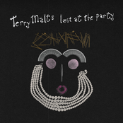 Terry Malts: Lost at the Party