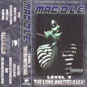 Level 7: The Long Awaited Saga