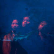 Cognitive Dissonance