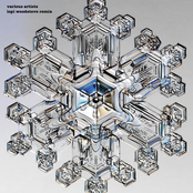 lopi woodstove remix