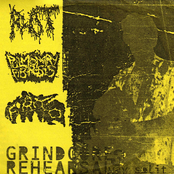 rot / pulmonary fibriosis / forever annihilating the obese