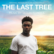 The Last Tree (Original Motion Picture Soundtrack)
