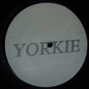 The Yorkie EP