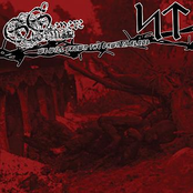 We Will Drown the Dawn in Blood