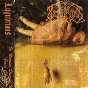 In Nomine Domini Nostri, Jesus Christi