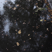 Arts Belongs To The People