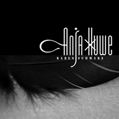 Anja Huwe: Rabenschwarz