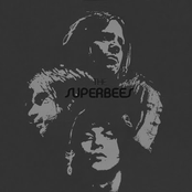 the superbees