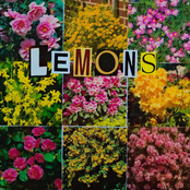 Lemons