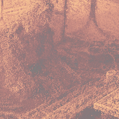 Parallels [2020-2022]