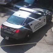 georgian police car
