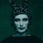 welcome to the circus