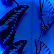 The Butterfly Stitches EP