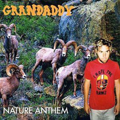 Nature Anthem by Grandaddy