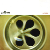 Shrunk by Aina