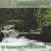 Meditation Series: Ambient Forest