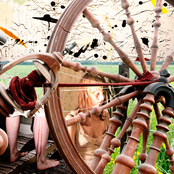 Tammen varjossa (Live)