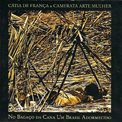 No Bagaço da Cana - Um Brasil Adormecido