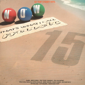 Now That's What I Call Music 15