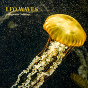 Underwater Gold Dust.