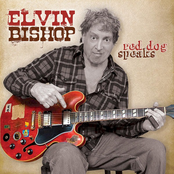 His Eye Is On The Sparrow by Elvin Bishop