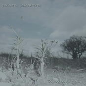 cuarto elemento - momento zero