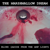 The Marshmallow Dream b/w Blind (Aside from the Amp Light)
