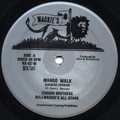 Mango Walk (dubwise version) / Mango Drive