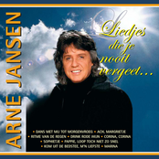 Liedjes die je nooit vergeet