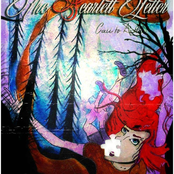 The Scarlett Letter: Call To Action